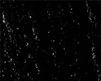 生物瀝青材料加工 生物瀝青材料加工